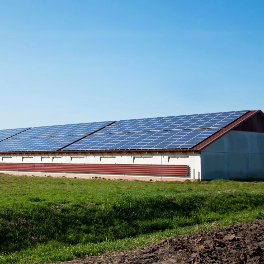 Sistema de energía solar híbrida puede conectarse a la cuadrícula Deye inversor solar de batería de alta tensión todo el soporte de