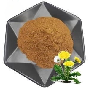 High quality/High cost performance  Natural Dandelion Root Powder Plant Extract