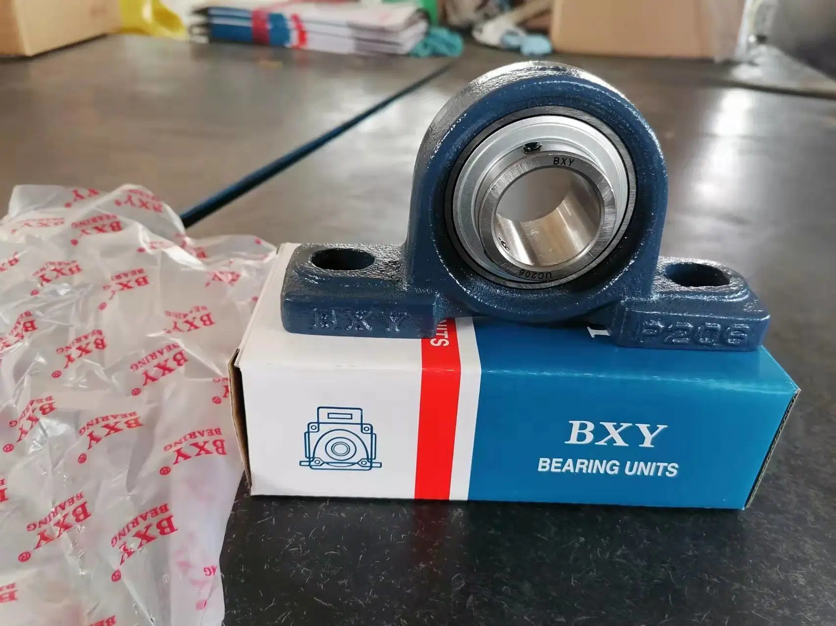 Pillow Block Ball Bearing with Cast Iron Housing, Stainless Steel Insert Bearing Unit (UC/SA/SB/UK/UCP/UCF/UCT/UCFC/UCFL/UCPA/UCHA/UCPH)