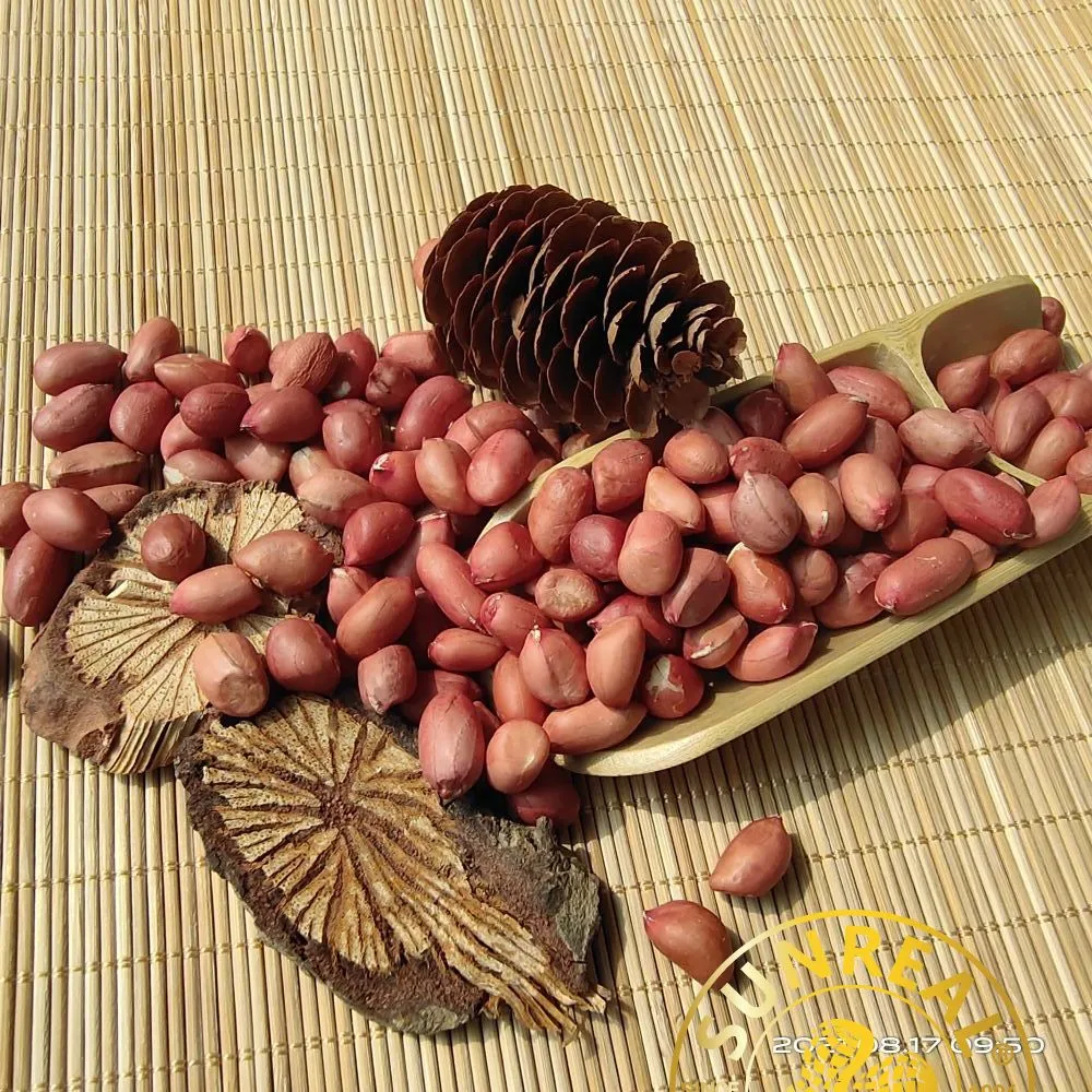 Roasted Peanut Kernels with Skin/Red Skin/Leisure Snacks/Superior Products