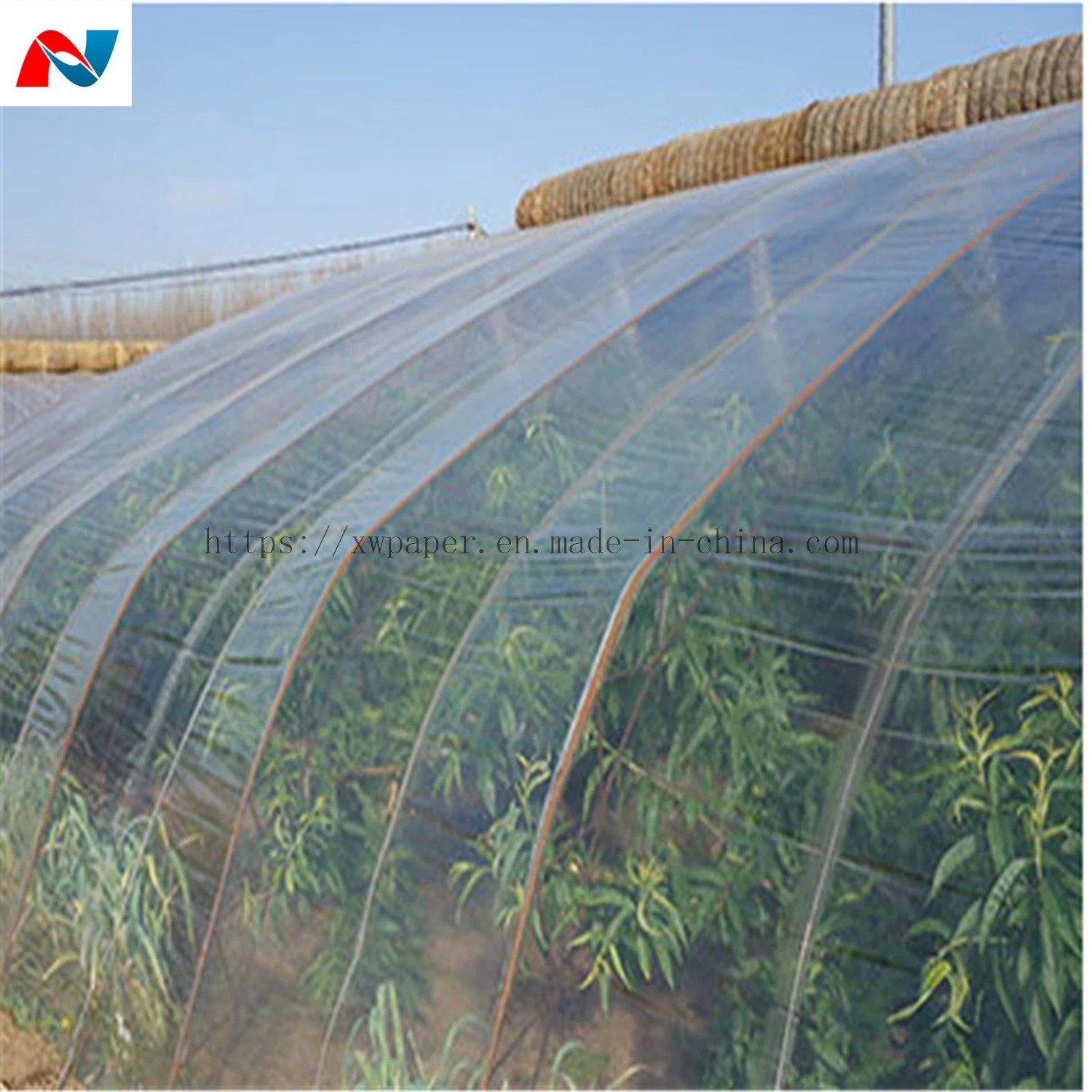 UV Af Agricultural Greenhouse Film Agricultural Plastic Poly Film