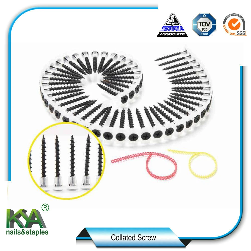 3.5X55mm Collated Drywall Screw for Wood