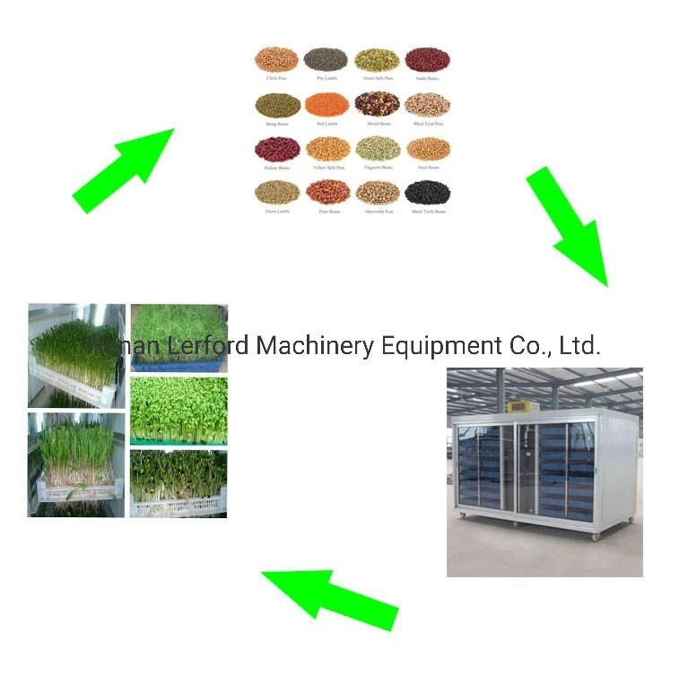 Green Hydroponic Grass Fodder Growing Machine for Farm Animal Feed