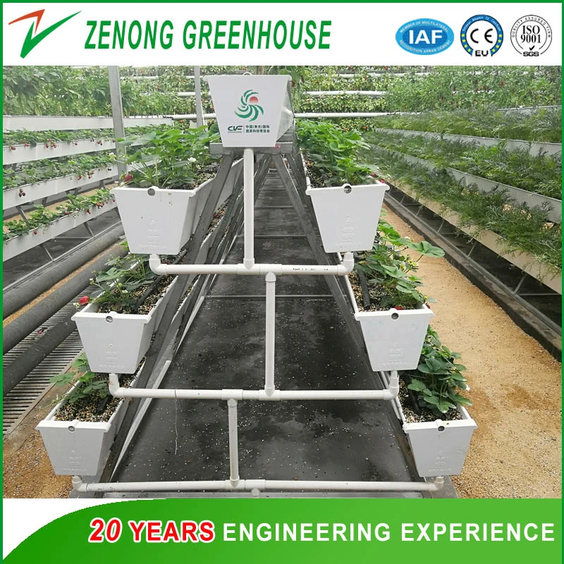 Soilless Culture Commercial Nft Hydroponics System Kinds of Soilless Culture Equipment