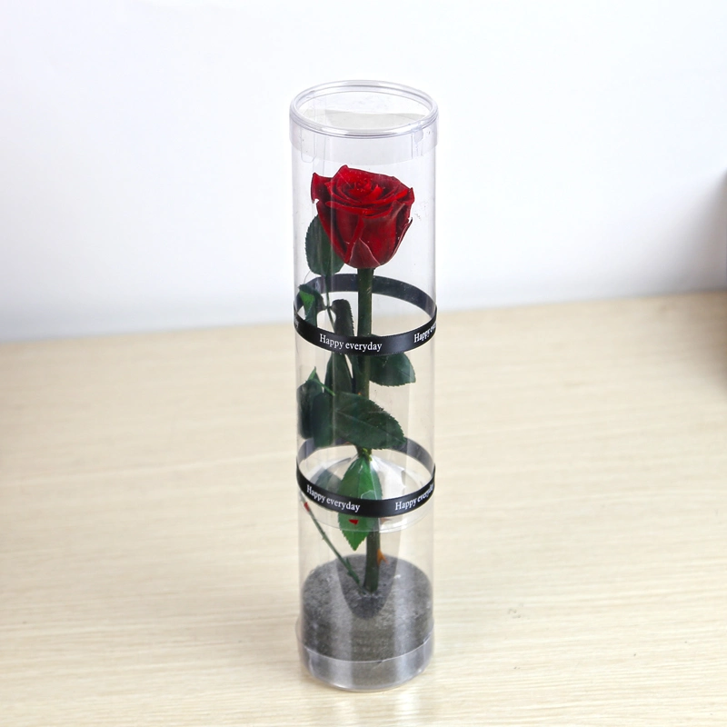 Christmas New Year Gifts Single Rose Preserved Rose Flower Stem Box in PVC Cylinder