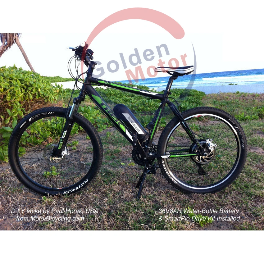 Programmable Ebike /Dual Horse Power Bike - Conquer Any Steep Hills
