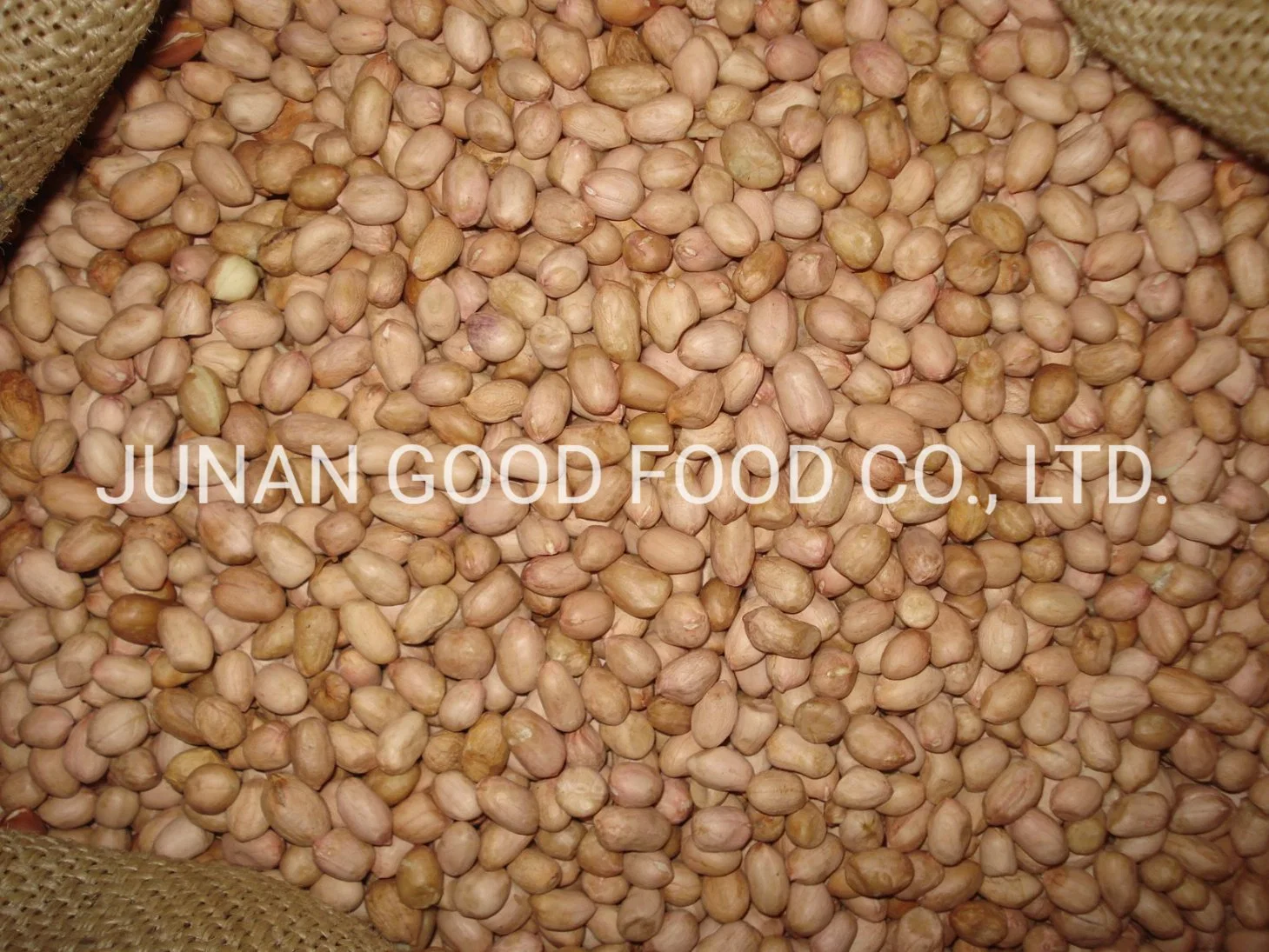 High quality/High cost performance Java Peanuts 80/90