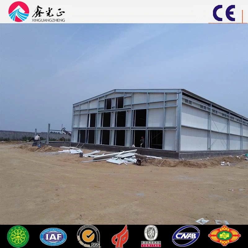 High Production Efficiency Steel Structure Poultry House for 10000 Chickens