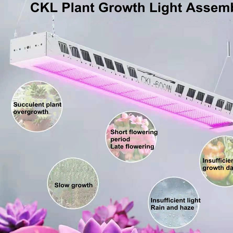 600W Kit de Habitação de Suplemento de Luz para Plantas de Crescimento de Plantas