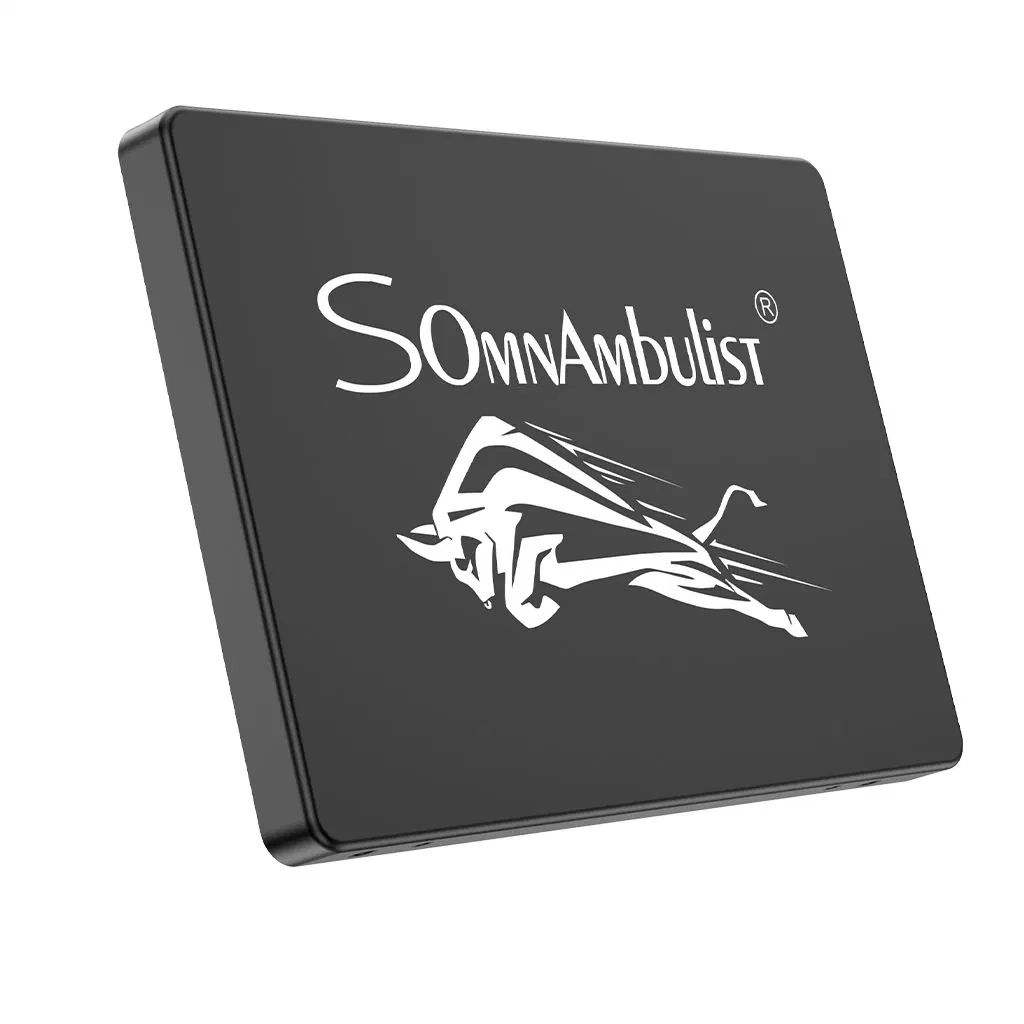 Somnambulist Gjs08 SSD 128g 240GB 480GB 2tb 2.5 SSD SATA 60GB Solid State Drive