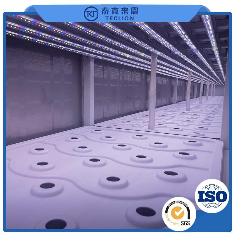 9600*650*2350mm Easy Control with LED Grow Lights Greenhouses Farm Container Medical Cultivation