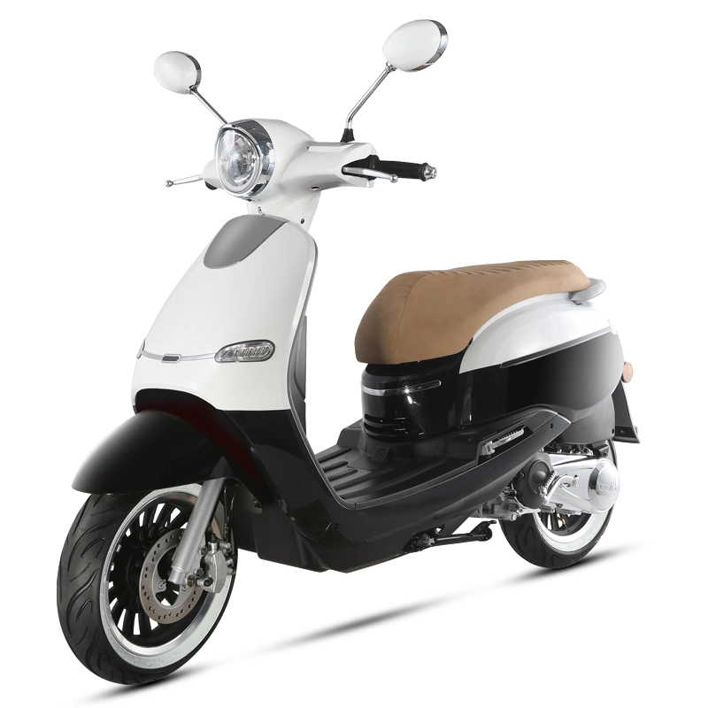 Actualizado para utilizar Delphi EFI System puede ser retroinstalado Scooter resistente al viento