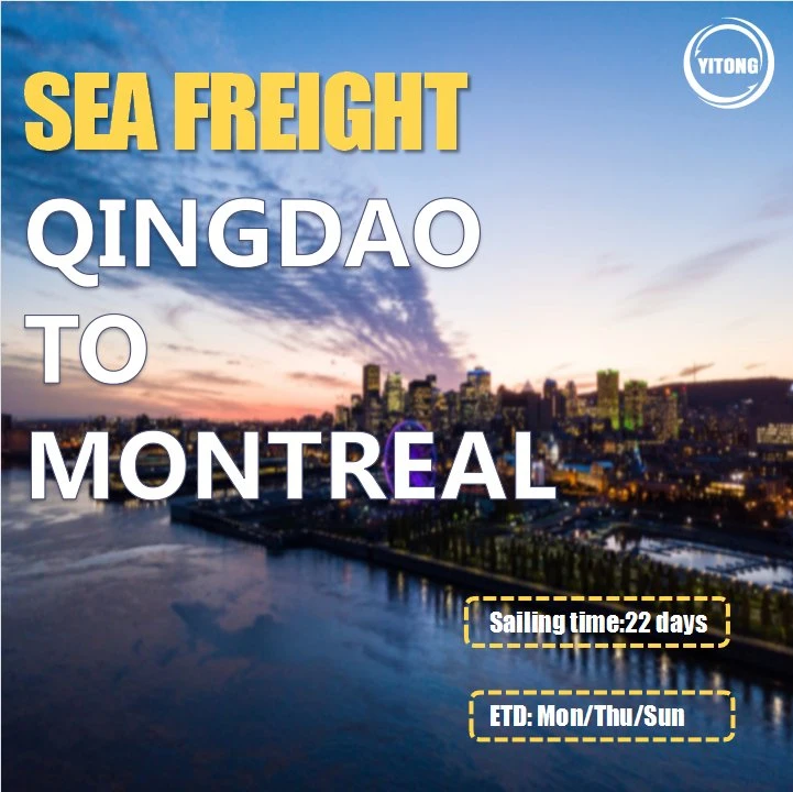 Vente en gros Guangzhou Mer de Chine Agent d'expédition de fret à Montréal Canada