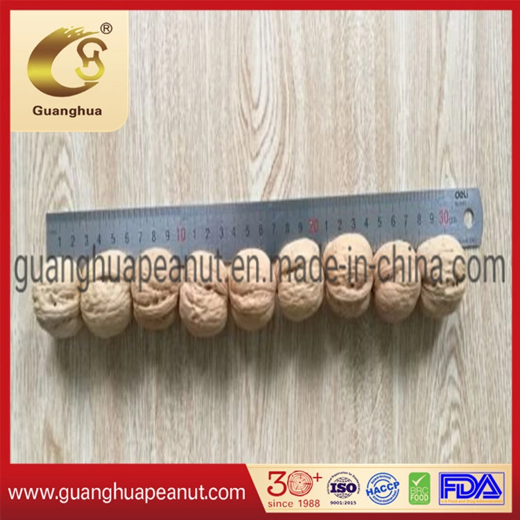 Hot Sale Grade AAA Walnut in Shell (Origin: China)