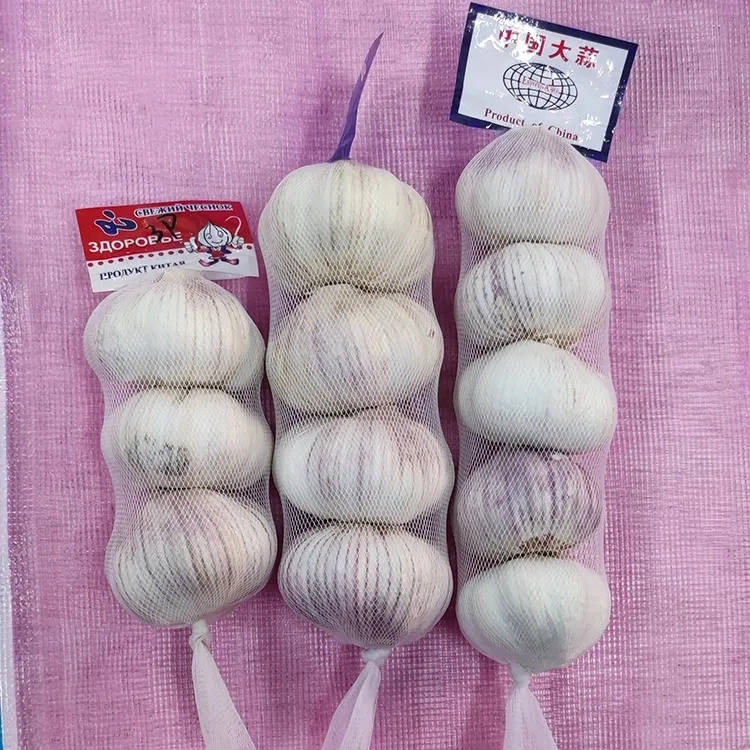 Indonesia High Quality Wholesale Fresh Normal White Garlic