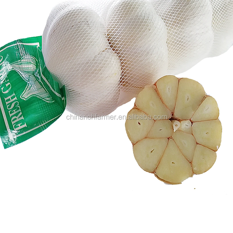 Fresh Garlic High quality/High cost performance Egyptian Purple Red Garlic Pure White Garlic 5.0 Cm