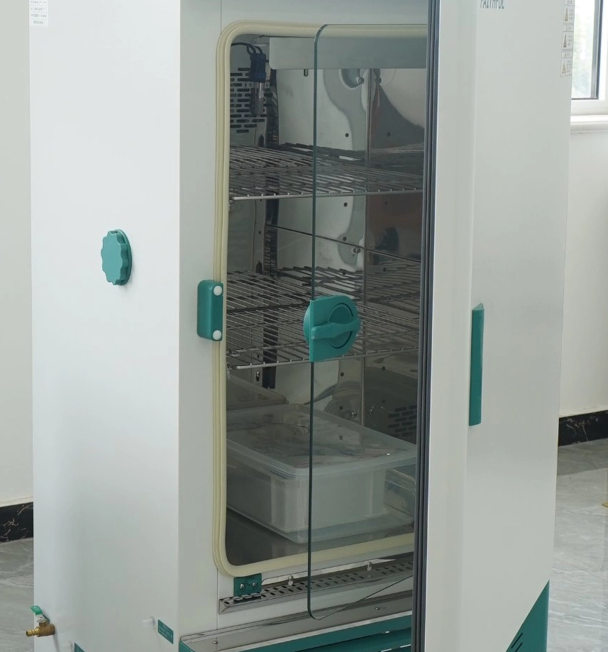 150L Stainless Steel Inner Mould Incubator, Laboratory Incubator