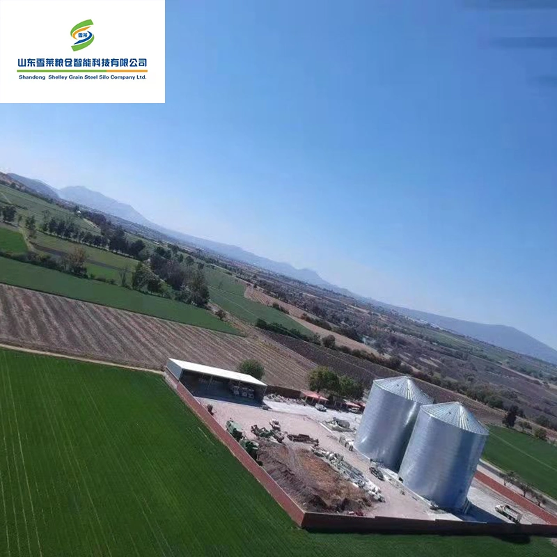 Los silos de acero Galvanzied Trigo bandejas de silos de almacenamiento de arroz para la granja