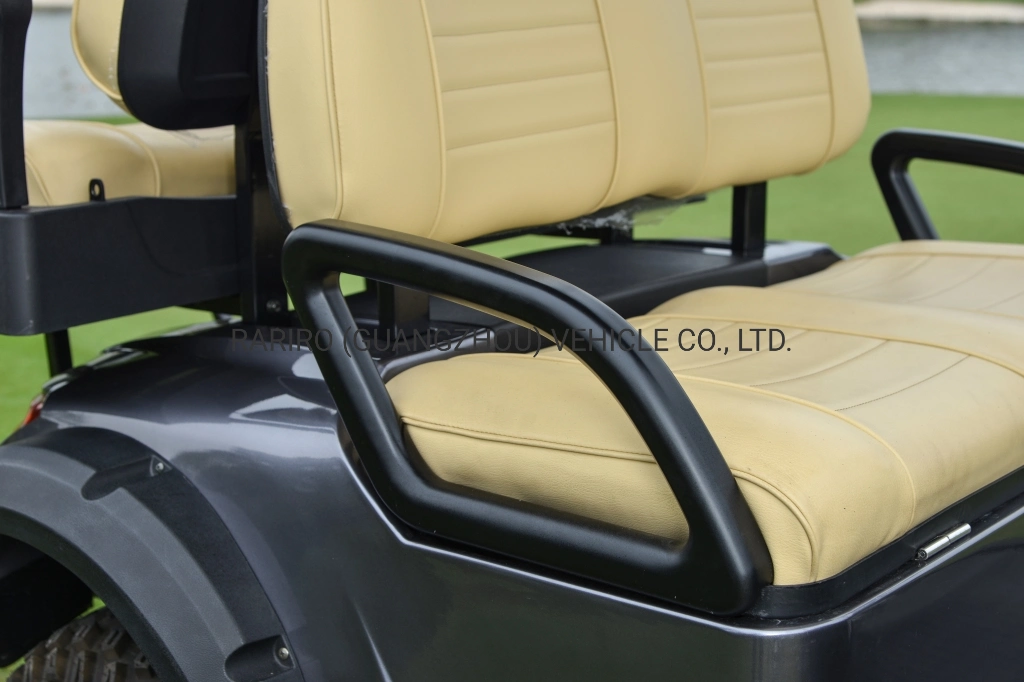 Electric Sightseeing Cart and Golf Trolley Hot Sales in China