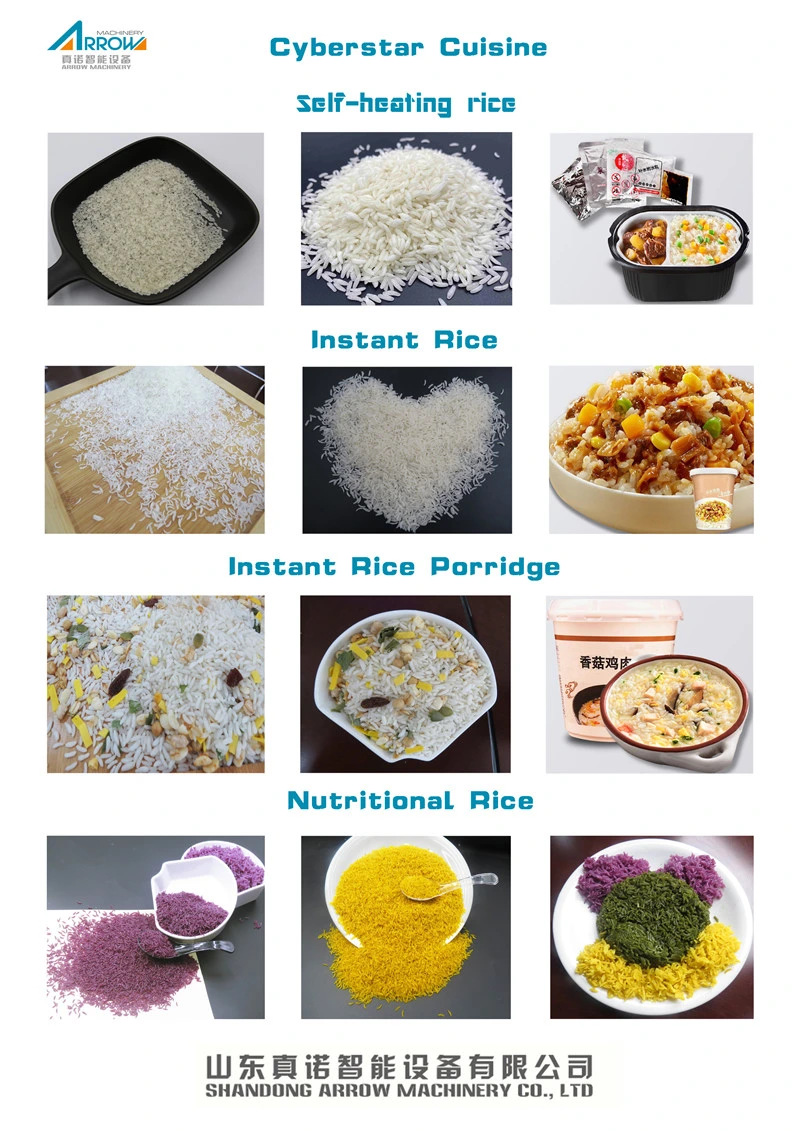 Full Automatic Control Nutrition Rice Machines Frk Fortified Rice Kernel Food Production Equipment
