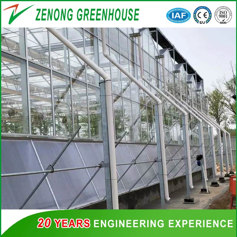 Agriculture Smart Glass Greenhouse with Shading/Cooling/Ventilation/Irrigation System