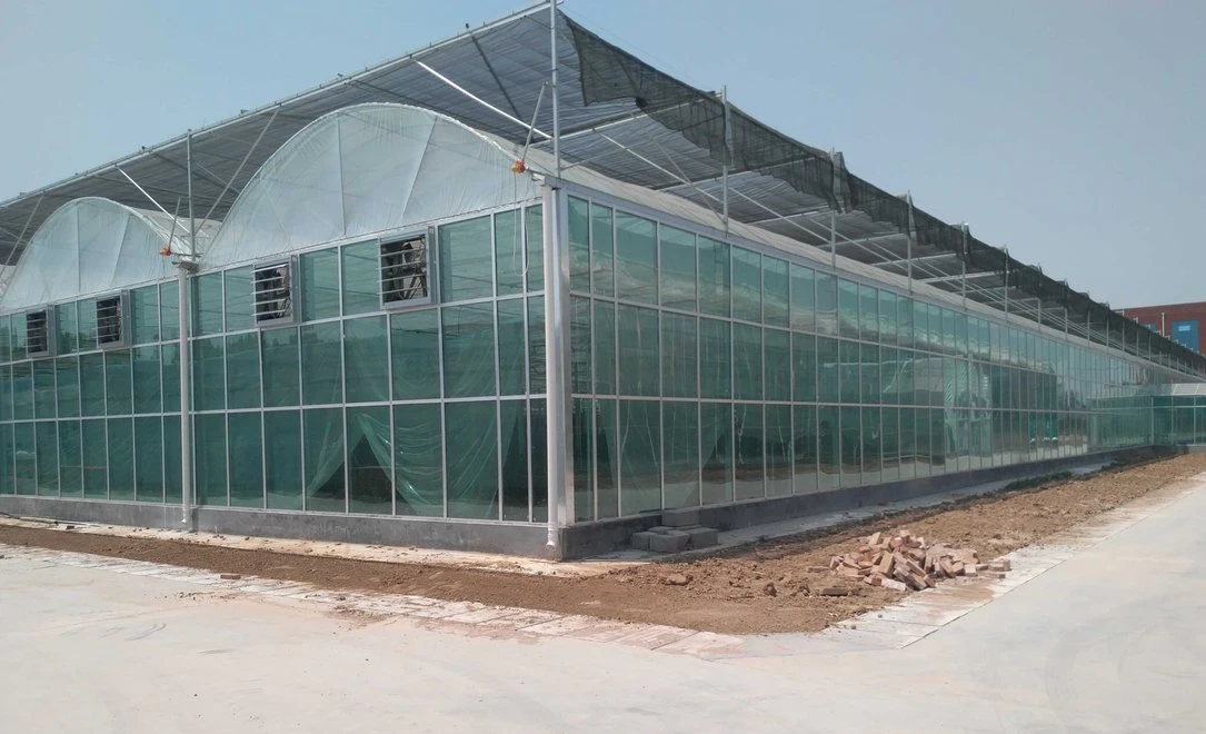 Spacious Polycarbonate Sheet Hydroponic Greenhouse