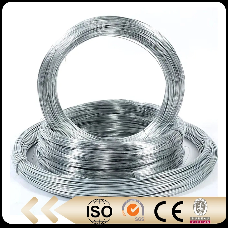 Hot Dipped/Electric Galvanized Mild Steel Binding Wire/Black Annealed Rebar Iron Wire 16 Gauge Stainless Steel Spool for Construction/Building Material