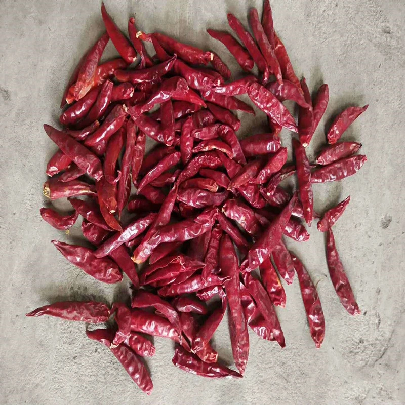 New Crop Dried Chilli Powder