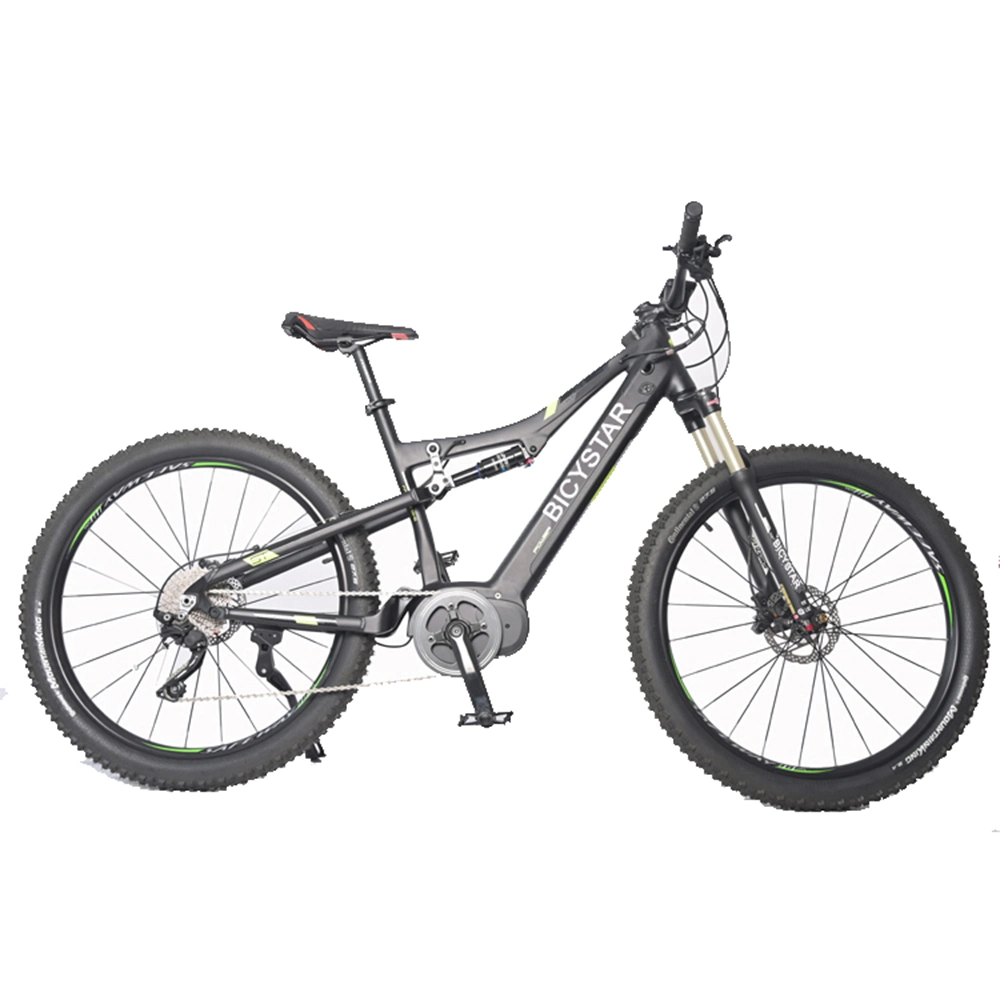 Black CE En15194 Electric Bike Chinese 36V 48 Volt Foldable Mountain Bicycle