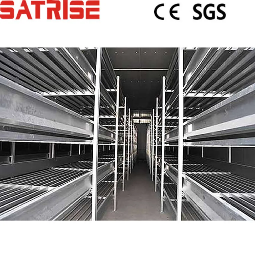 Satrise Button Mushroom Grow Shelves Usage in Mushroom Room