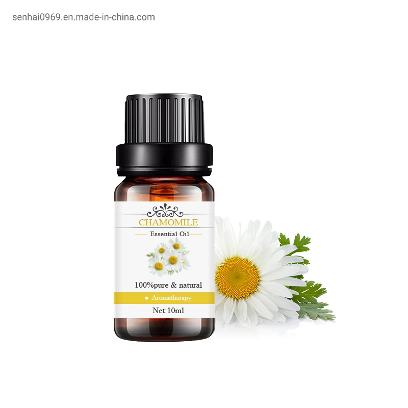 Facial Care Aromatherapy Massage Oil CAS 8015-92-7 Roman 100% Pure Natural Chamomile Essential Oil for Sale