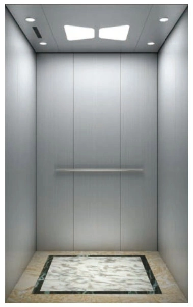 Passenger Home Lift Elevator Parts Ceiling China Supplier