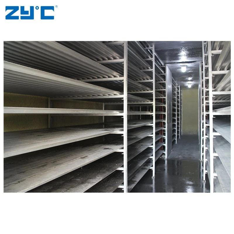 Zyc Quick Frozen Low Temperature Aluminum Row Shelf Rack Evaporator for Cold Storage Room