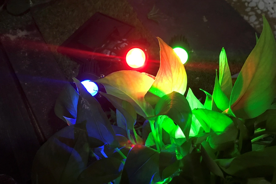 Solar Colorful LED Light Lamp with Best Design