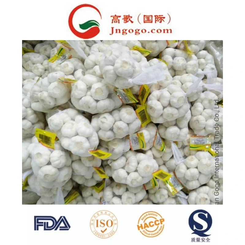 Export Good Quality Fresh Chinese Garlic Fresh Vegetables Fresh Garlic