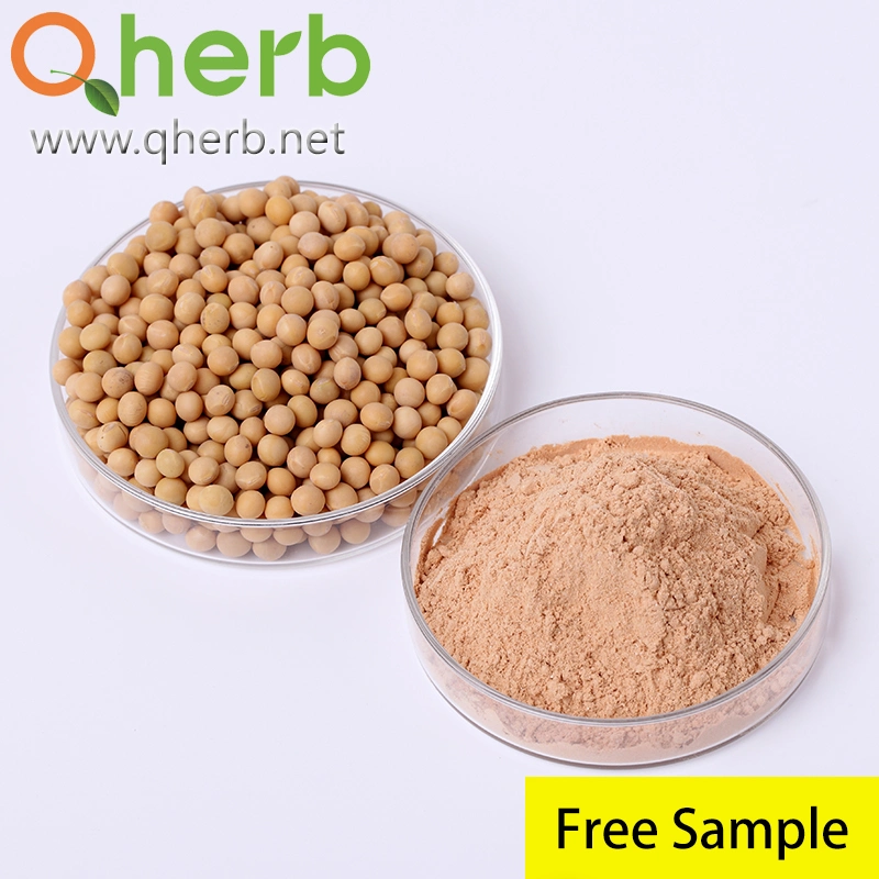 ISO Halal Certified Non-GMO 100% Natural 40% Soy Isoflavone Soybean Extract