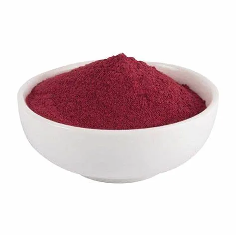 Natural Food Pigment Red Beet-Root Juice Powder for Anti-Cancer