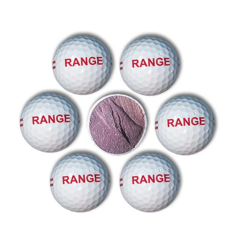 Wholesale/Supplier Bulk 2 Layers Surlyn Cover Training Ball Stable Golf Range Ball