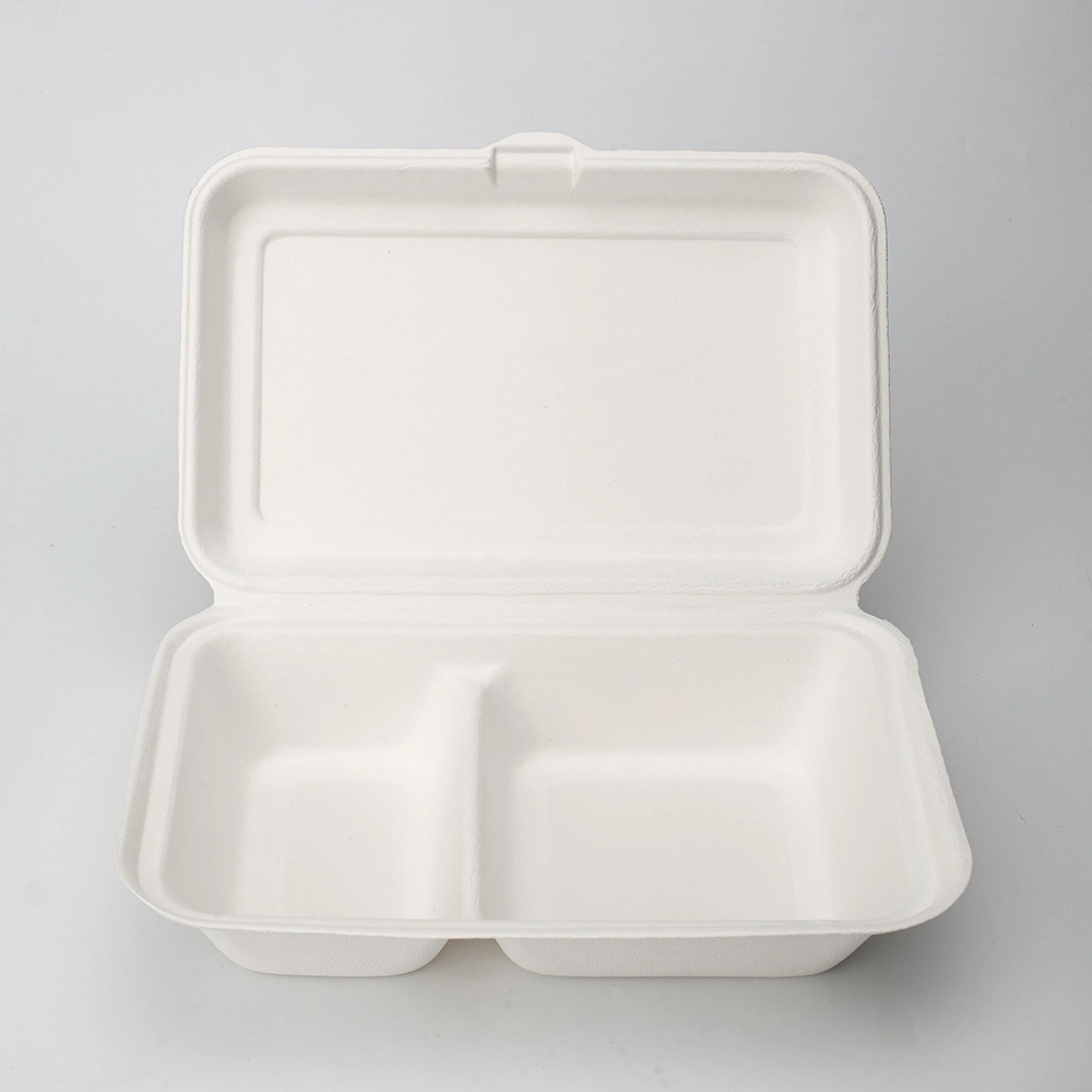 Biodegradable 9" X 6" 2-C Hinged Container for Takeout, Parties, Camping