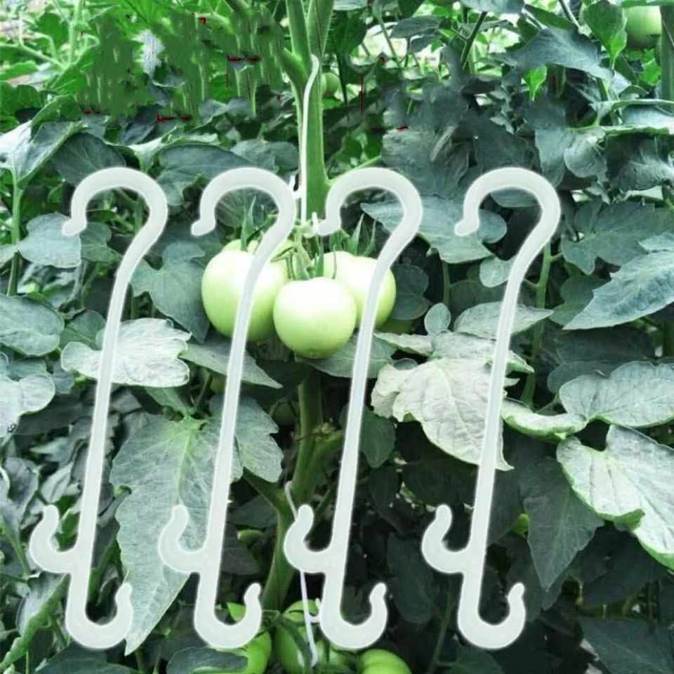 Tomato Clip Tomato Clip Ear Hook Solid Vine Tied Vine Clip Clip Hook