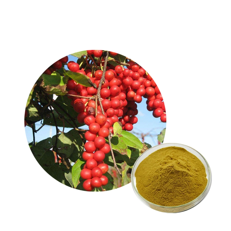 Comext ISO Fssc Halal Kosher 10: 1 Schisandrins Schisandra Extract for Liver Health