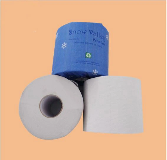 Рулон туалетной бумаги, Bathroom Tissue Bamboo Environmental Protection Бумажная упаковка