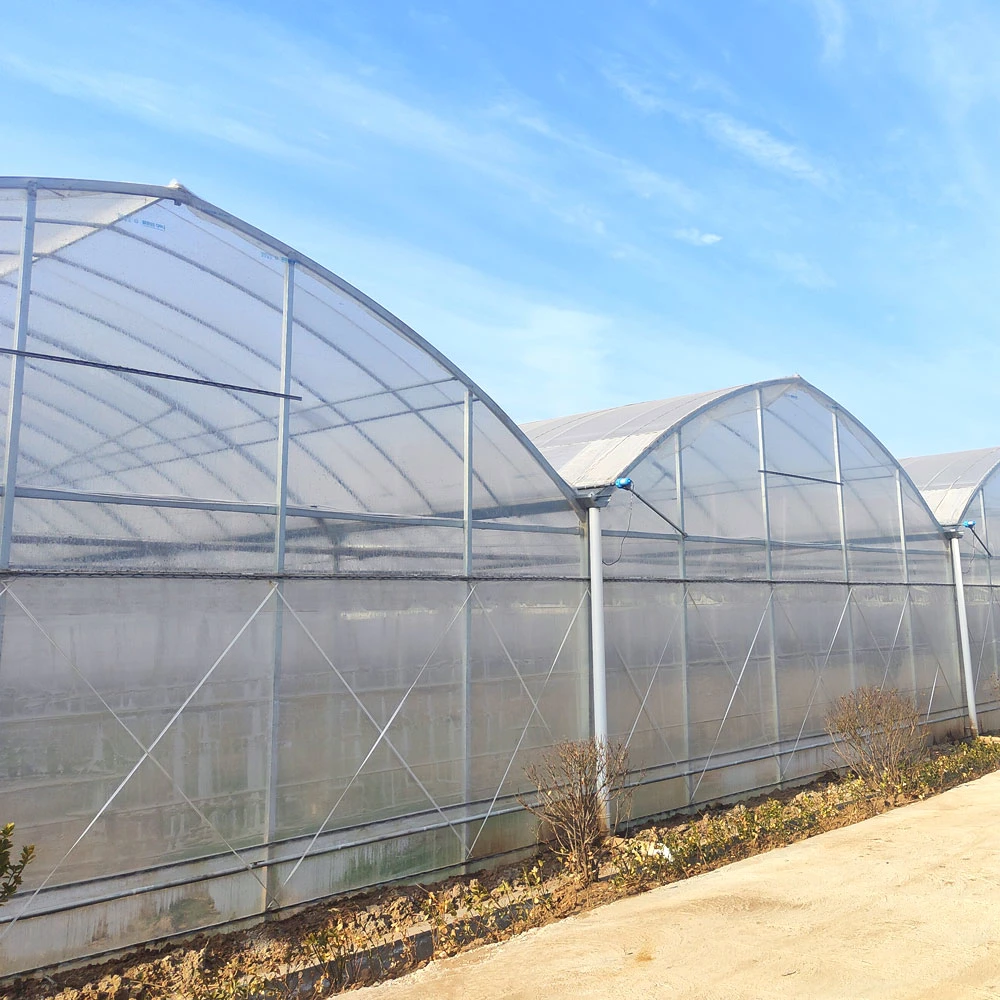 Cheap Multi-Span/travée unique tunnel commerciale du film plastique ferme solaire Sunboard de verre en polycarbonate serre de l'Agriculture Film avec lit de semence