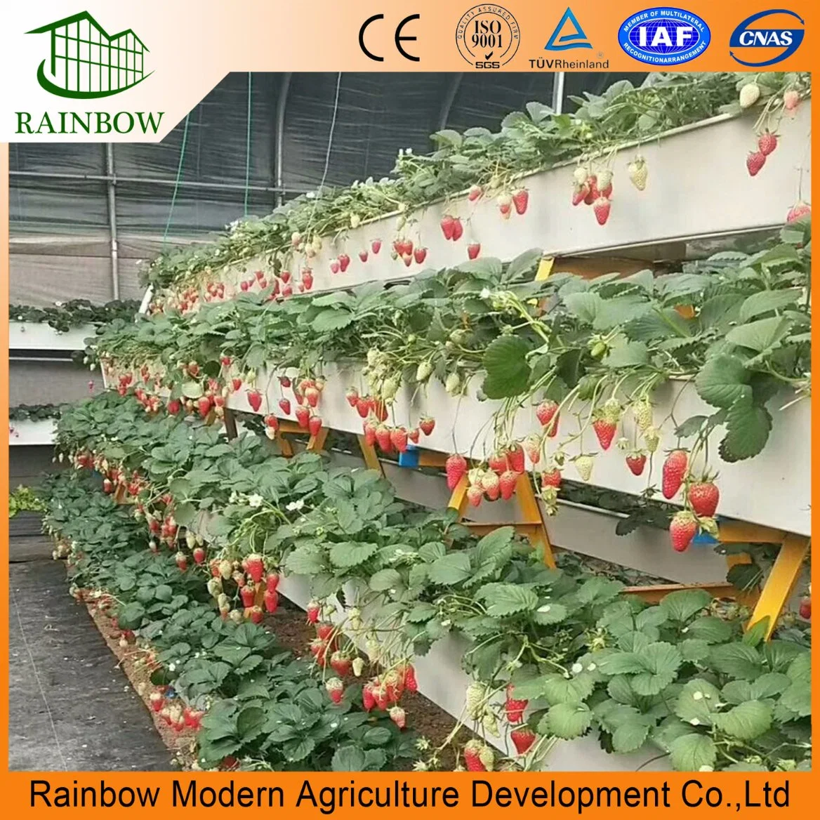 Good Quality Plastic PVC Planting Groove Hydroponics for Strawberry