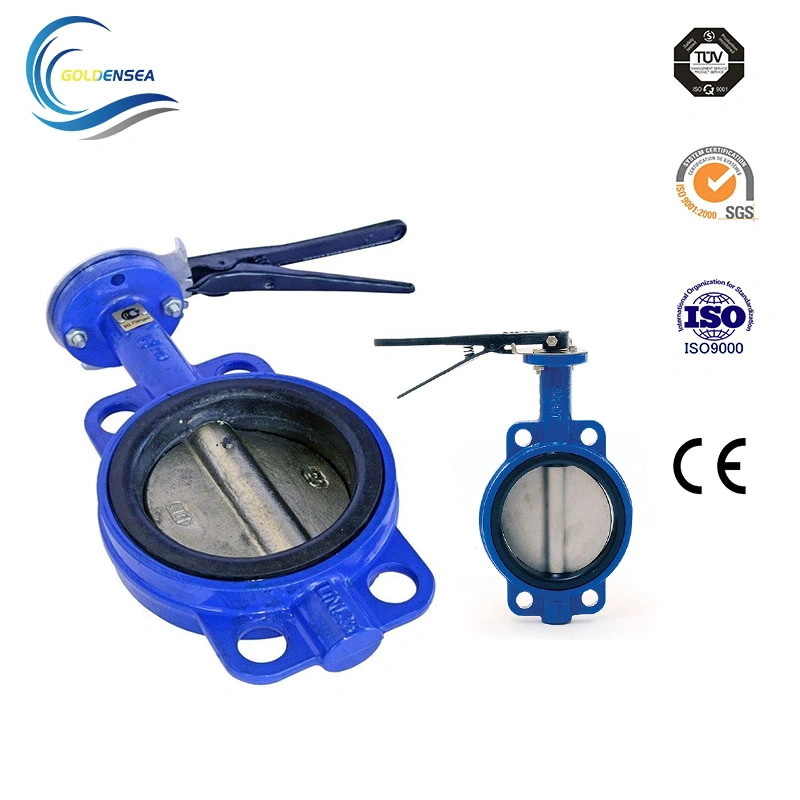 API/GB/DIN/GOST Flanged/Lug/Wafer Type Stainless Steel/Cast Iron Butterfly Valve