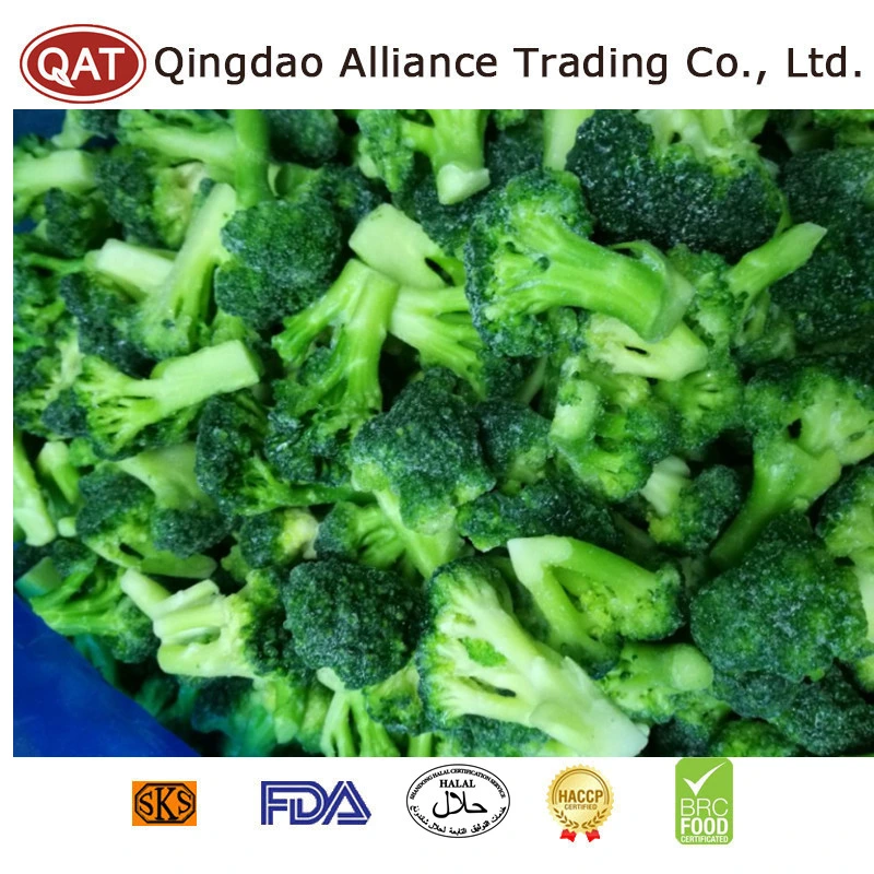 China Bio Frozen gehackte Broccoli Gemüse IQF Crop Green Broccoli Schnitt für Foodservice Großhändler