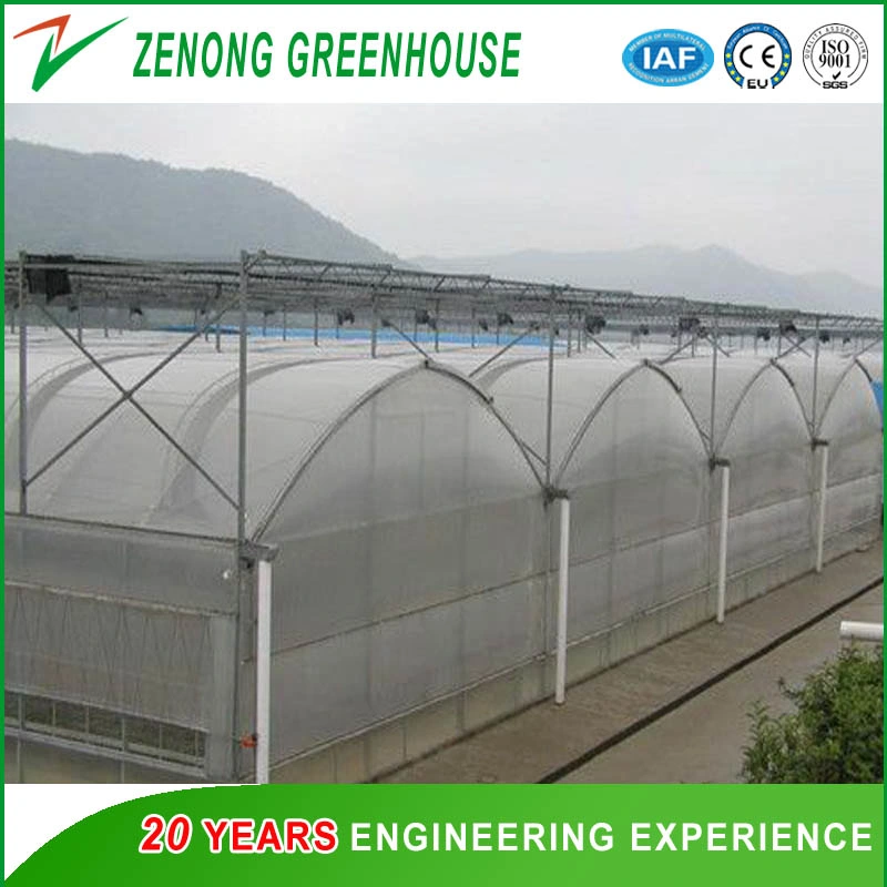 Chinese Factory Supply Film Commercial with Shading Net System for Lecture