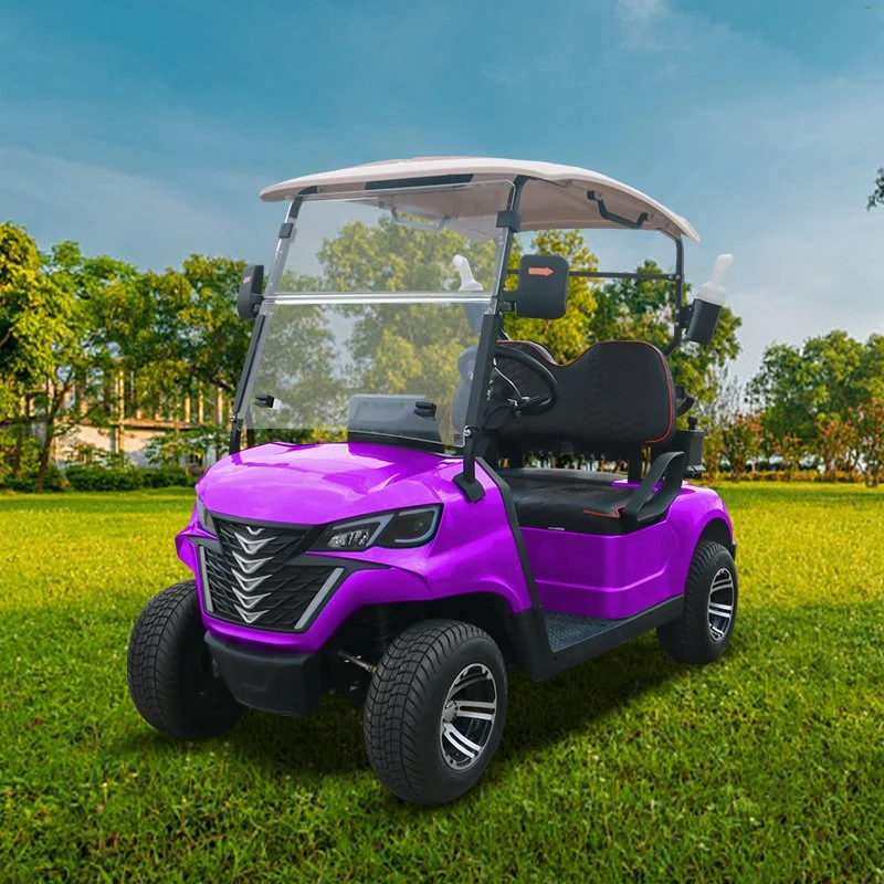 Nuevos Productos Nueva tendencia 2 Seater Forge G2 Electric Golf Carritos de golf Buggy