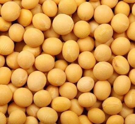 High quality/High cost performance  Original Factory Natural Isoflavones Soy Bean Extract