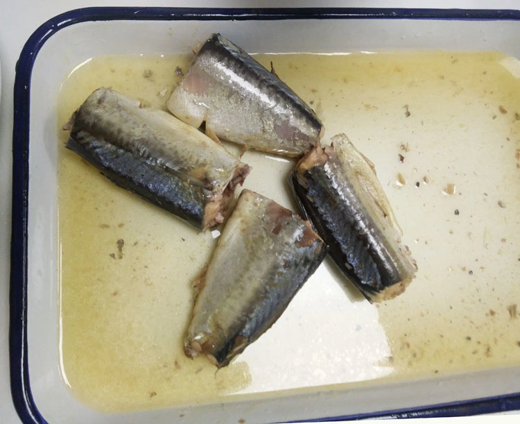 Canned Mackerel Fish in Brine